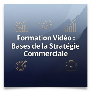 Formation Vidéo : Bases de la Stratégie Commerciale